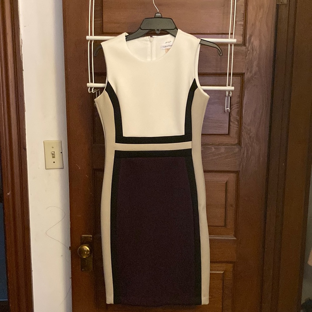 Calvin Klein Professional Dress